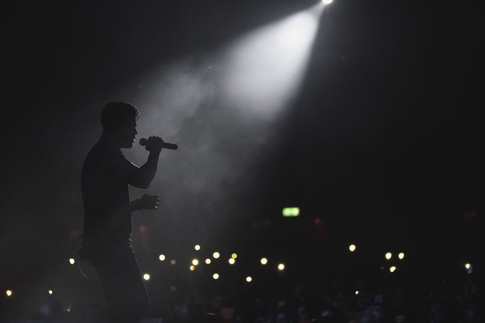 Silhouette of a singer performing under a spotlight with an audience in the dark, Tehran concert.